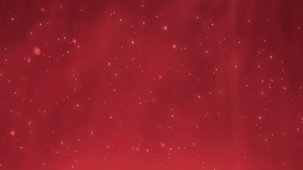 Tim Hortons Recien Llegados motion study 04